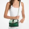 Malá crossbody kabelka Greenwich s ombré podpisovým logem Malá crossbody kabelka Greenwich s ombré podpisovým logem